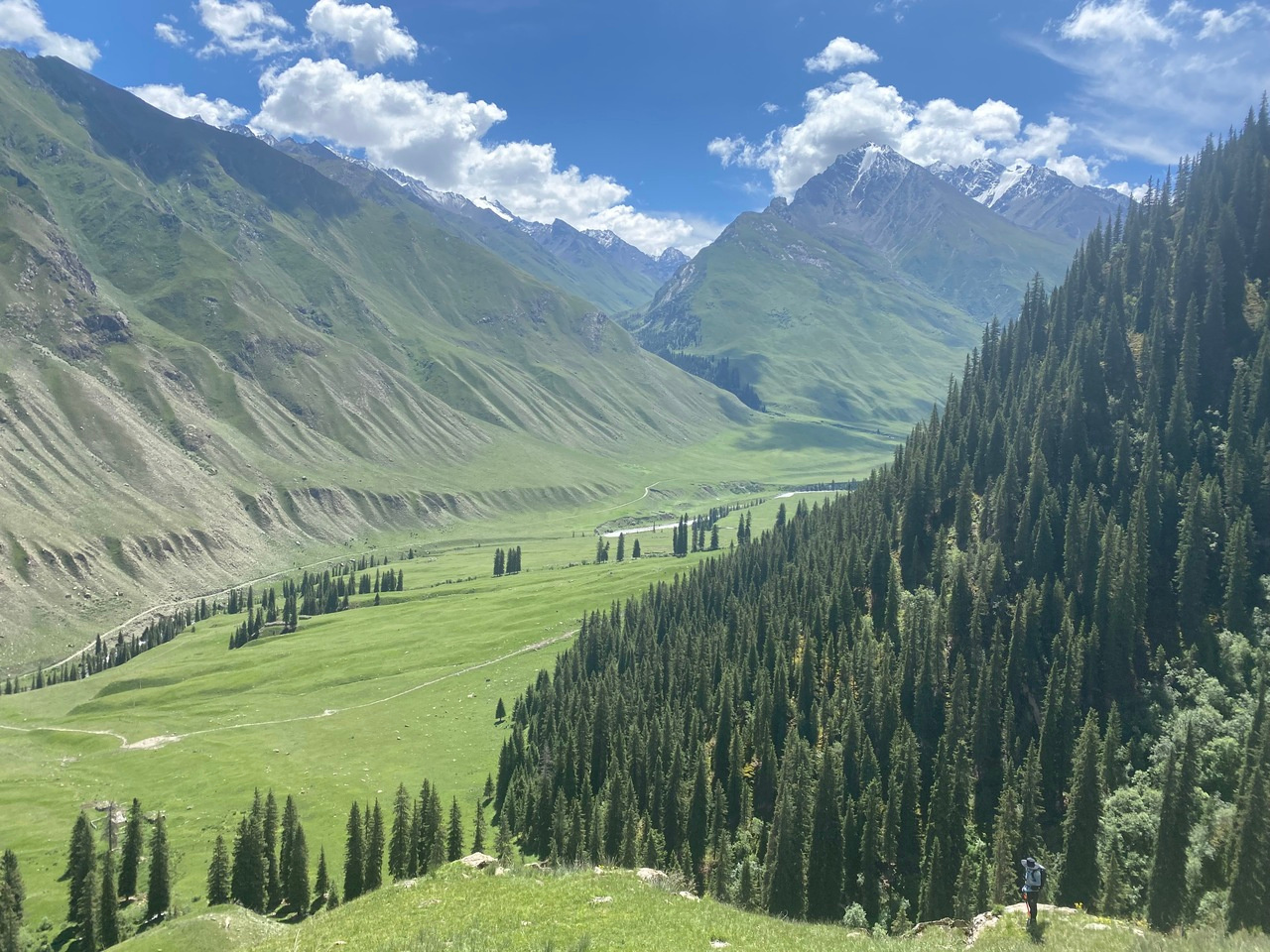 Petrological evidence for deep subduction of organic carbon to subarc depths