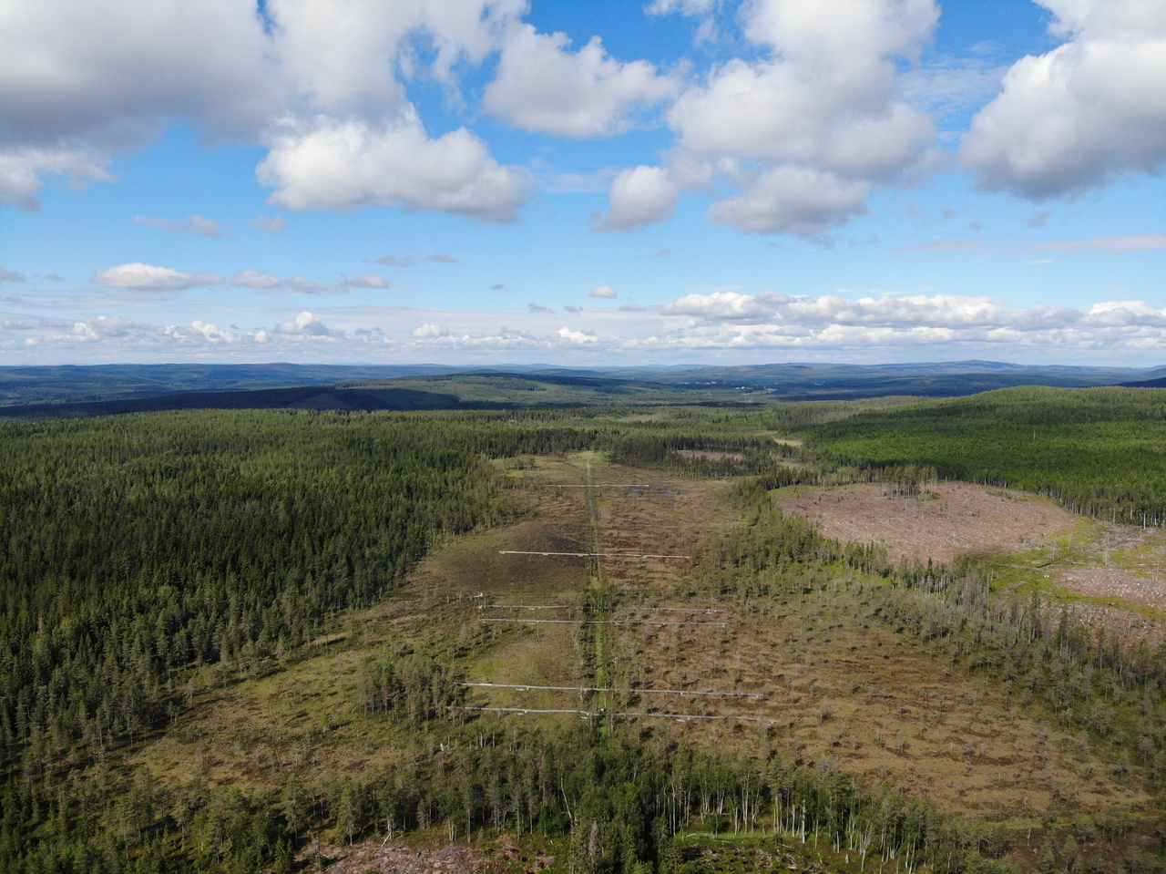 Managing the legacy of historical drainage ditches in boreal peatlands: exploring the effect on water quality and greenhouse gas fluxes