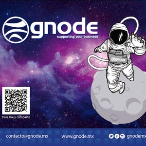 Go to the profile of GNODE SA DE CV