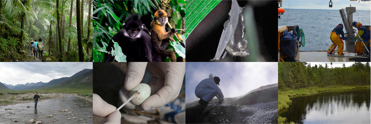 Wrangling the microbiomes of Earth