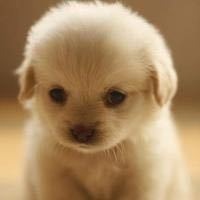 Go to the profile of Jianjun Wang