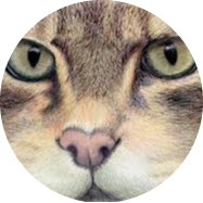 Go to the profile of Edward Hunter