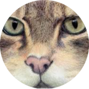 Go to the profile of Edward Hunter