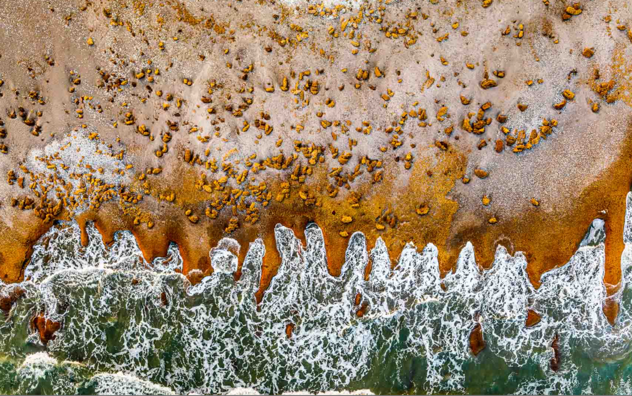 Blue carbon to the waveside: carbon erosion along migrating barrier islands