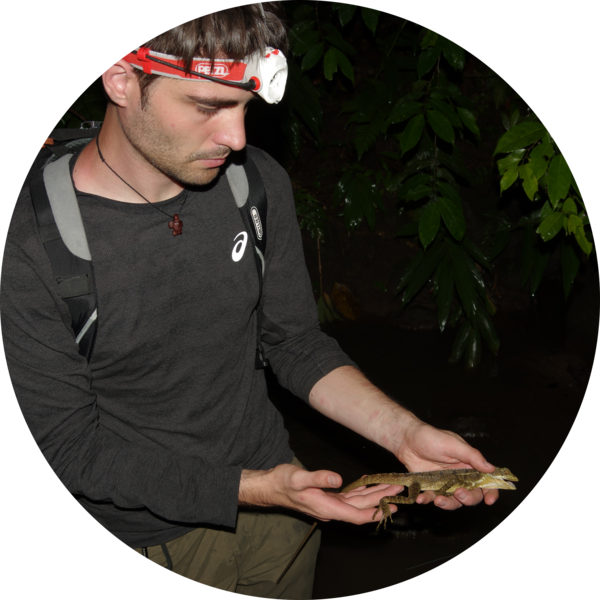 Go to the profile of Gerrit Wehrenberg