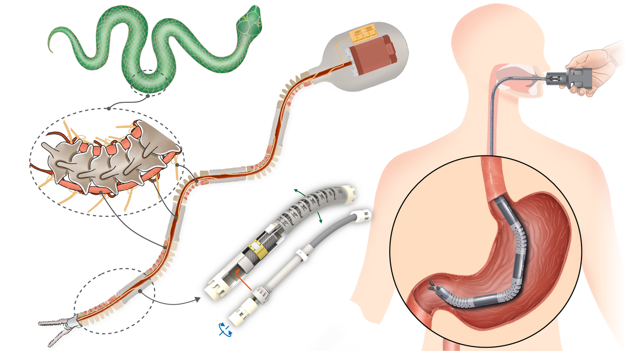 Bioinspired handheld time-share driven robot with expandable DoFs