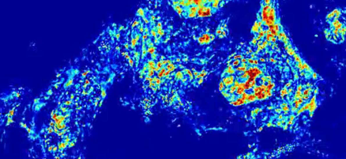 Macrogenomic engineering