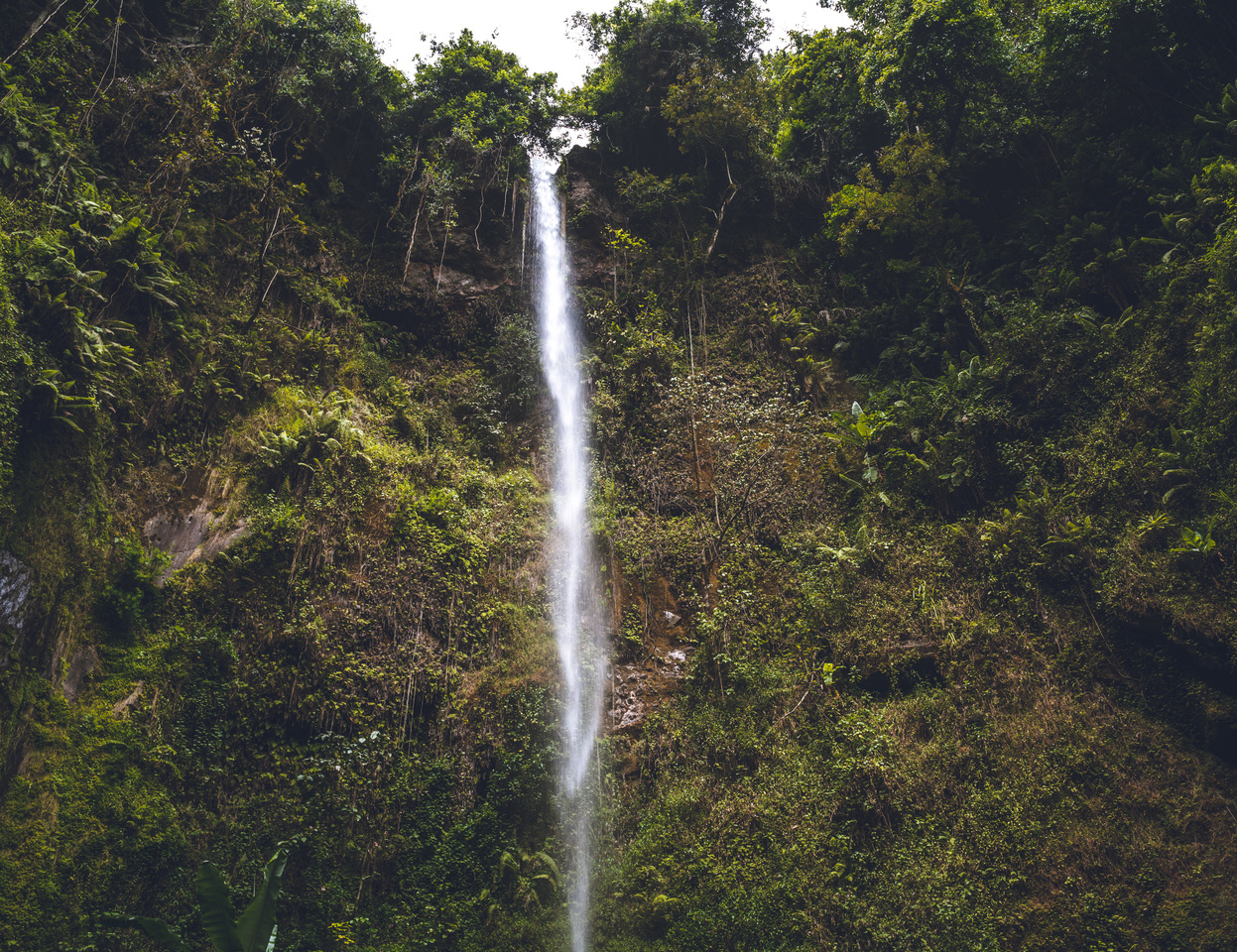 Hello! My name is Victoria