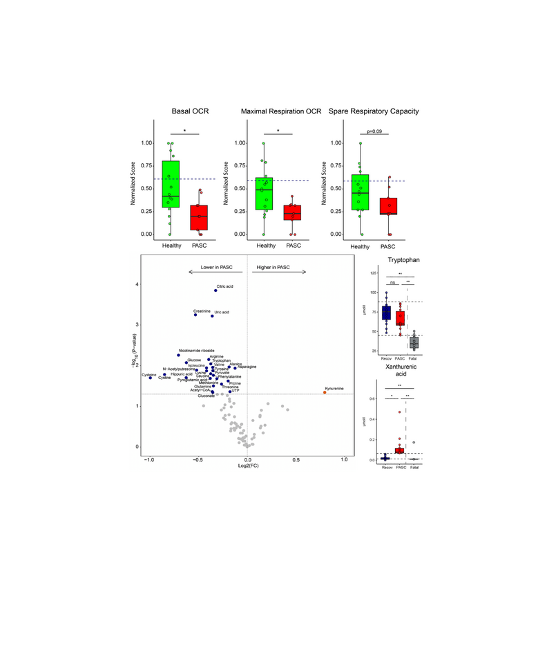 Prolonged indoleamine 2,3-dioxygenase-2 (IDO2) activity and associated cellular stress in post-acute sequelae of SARS-CoV-2 infection(PASC, or long COVID)