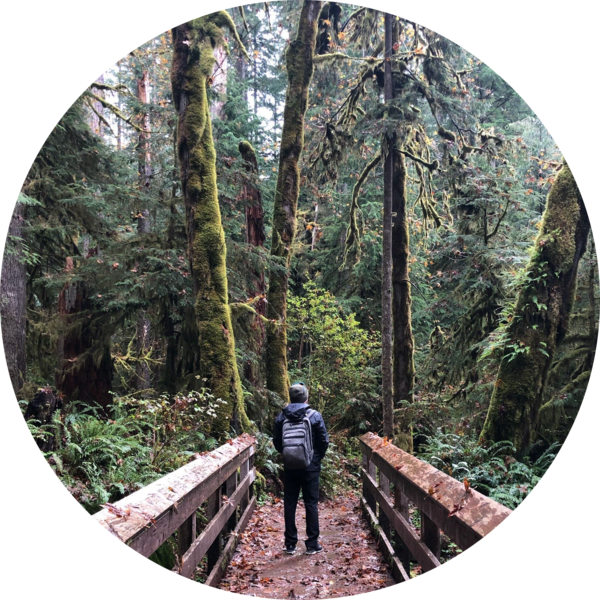 Go to the profile of Alex Wolf