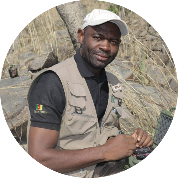 Go to the profile of Dr Serge Alexis Kamgang