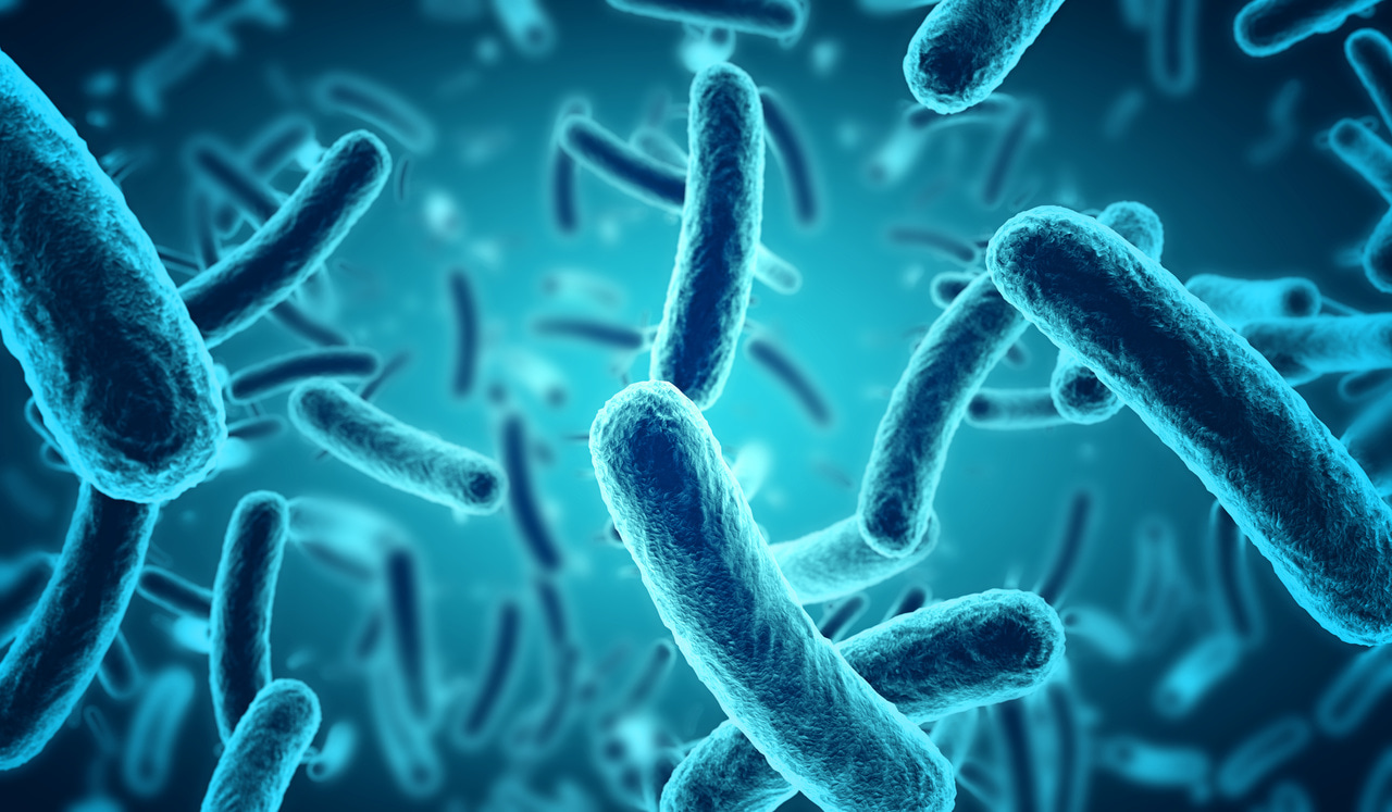 Study finds nanoplastics could increase virulence of E. Coli
