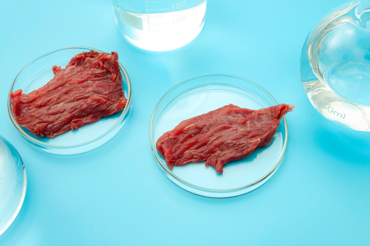 New cell-cultivated products programme receives government funding