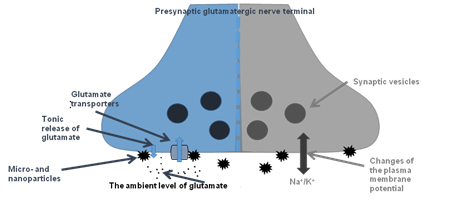 Express assessment of neurotoxicity of particles of planetary and interstellar dust