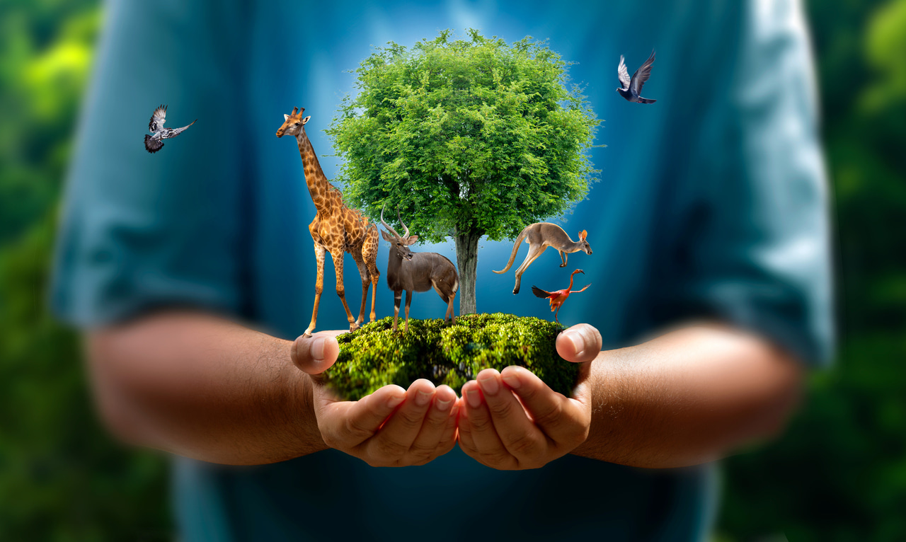 World Nature Conservation Day 28th July 2025: Highlights from the BMC Series