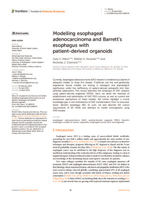 Modelling esophageal adenocarcinoma and Barrett’s esophagus with patient-derived organoids