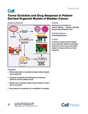 Tumor-Evolution-and-Drug-Response-in-Patient-Deriv