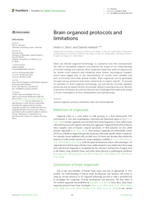 Brain organoid protocols and limitations