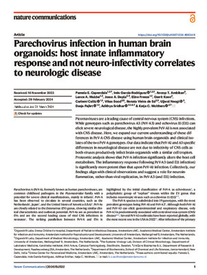 Parechovirus infection in human brain organoids: host innate inflammatory response and not neuro-infectivity correlates to neurologic disease