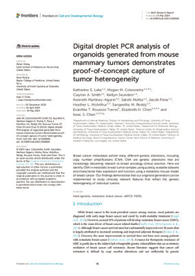 Digital droplet PCR analysis of organoids generated from mouse mammary tumors demonstrates proof-of-concept capture of tumor heterogeneity