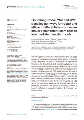 Optimizing Nodal, Wnt and BMP signaling pathways for robust and efficient differentiation of human induced pluripotent stem cells to intermediate mesoderm cells