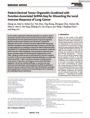 Patient-Derived Tumor Organoids Combined with Function-Associated ScRNA-Seq for Dissecting the Local Immune Response of Lung Cancer