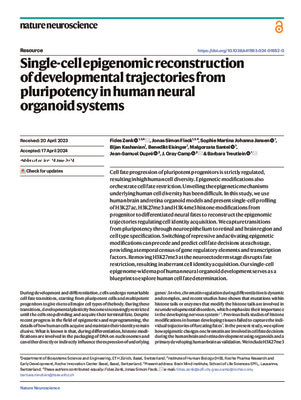 Single-cell epigenomic reconstruction of developmental trajectories from pluripotency in human neural organoid systems