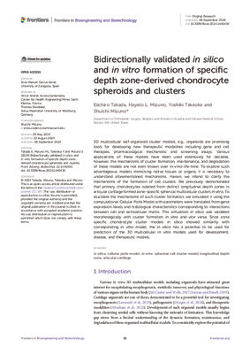 Bidirectionally validated in silico and in vitro formation of specific depth zone-derived chondrocyte spheroids and clusters