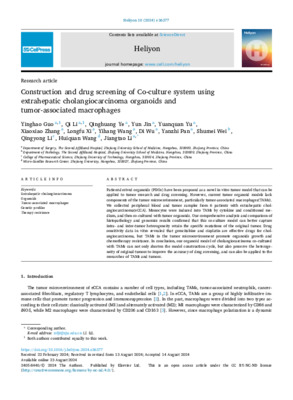 Construction and drug screening of Co-culture system using extrahepatic cholangiocarcinoma organoids and tumor-associated macrophages
