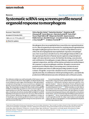 Systematic scRNA-seq screens profile neural organoid response to morphogens