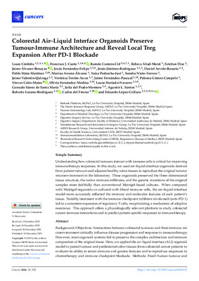 Colorectal Air–Liquid Interface Organoids Preserve Tumour-Immune Architecture and Reveal Local Treg Expansion After PD-1 Blockade