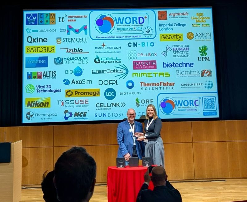 Flashback: WORD+2025 Live set up and action!