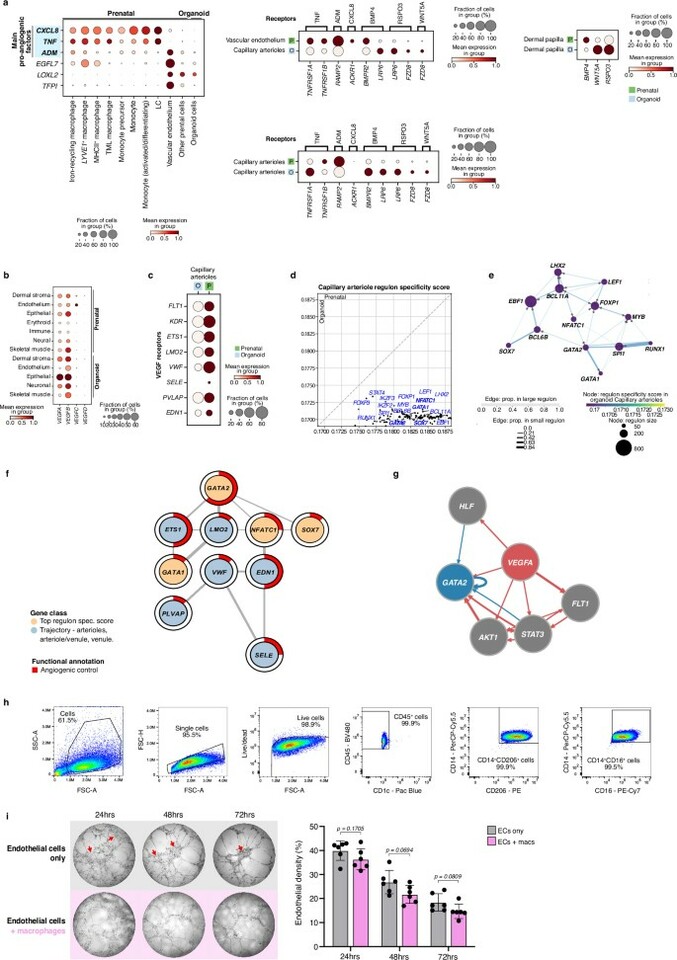 Great article and paper! From Wellcome Sanger Institute