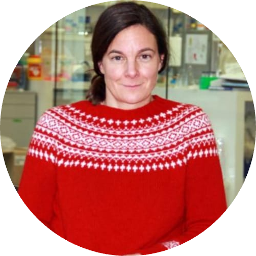 Go to the profile of Katharina Schiessl