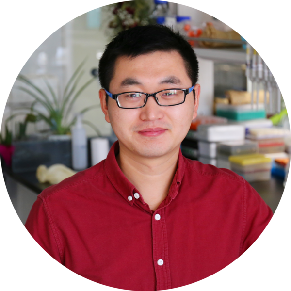 Go to the profile of Miaomiao Li