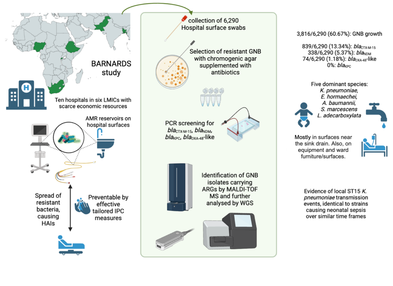 Unravelling links between neonatal sepsis outbreak strains and carbapenemase-carrying bacteria colonising hospital surfaces in low- and middle- income countries