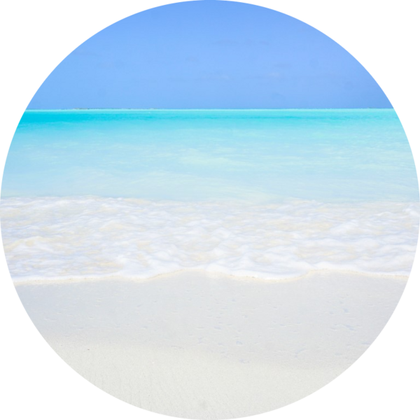 Go to the profile of Vincent Basil