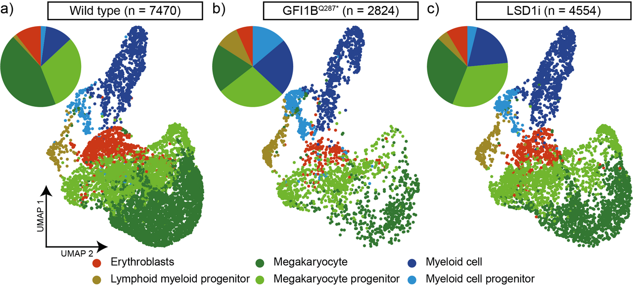 GFI1B has a dual function in platelet formation and wound healing