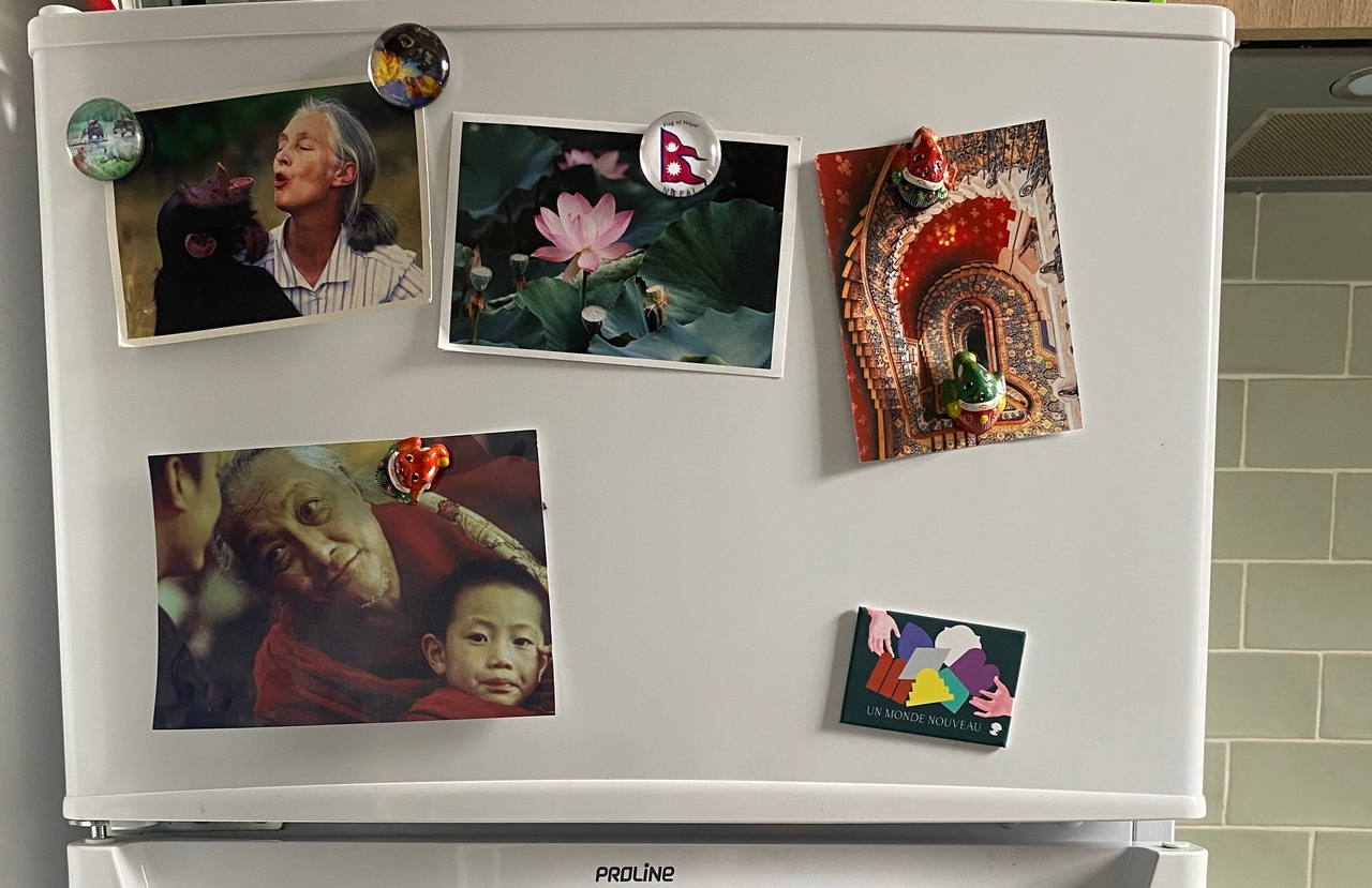 LiA Week 1: Welcome to the Office