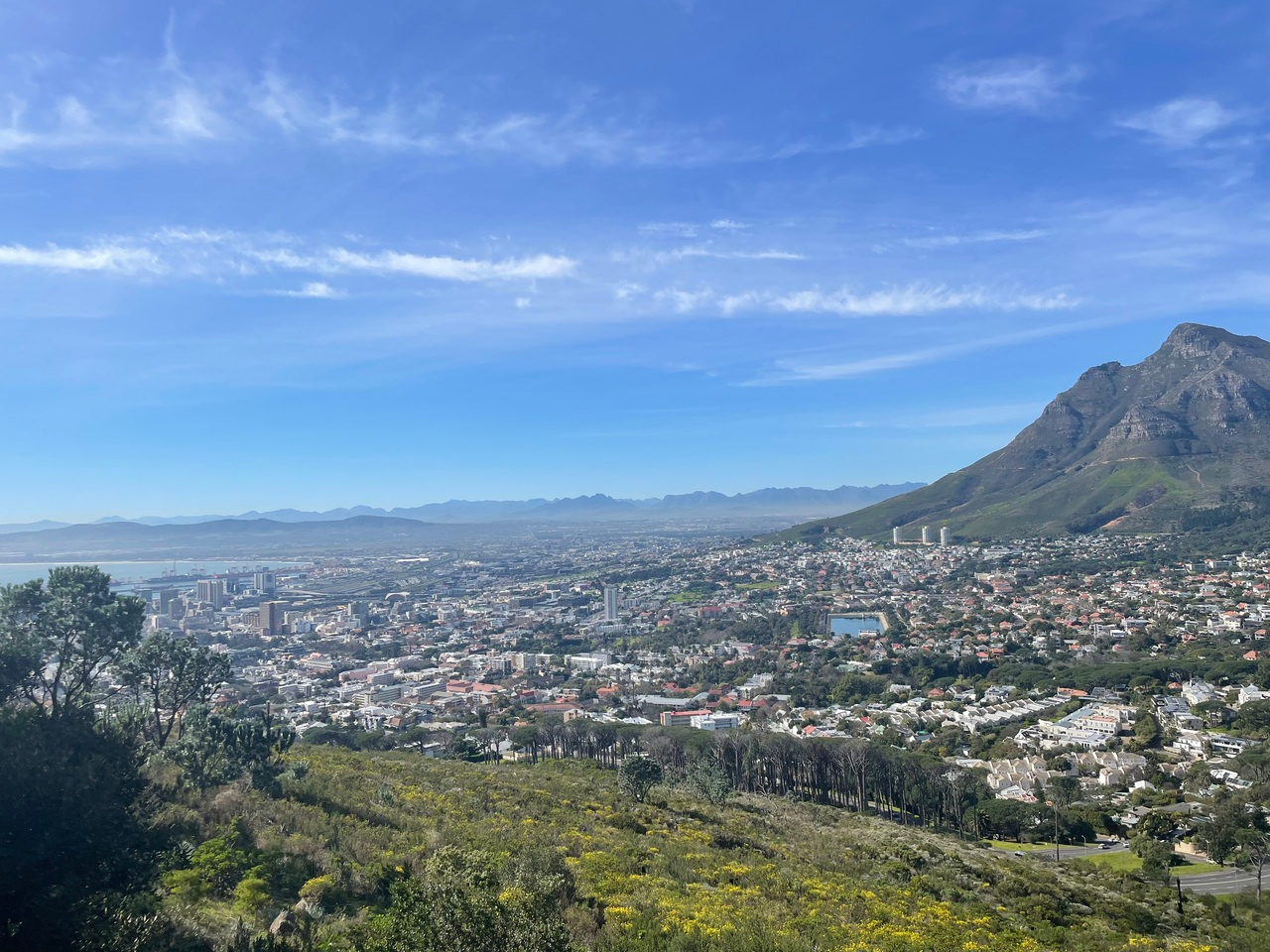 LIA: International reflections