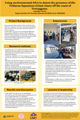 LiA Summer 2025 poster