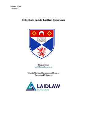 LiA Reflective Essay