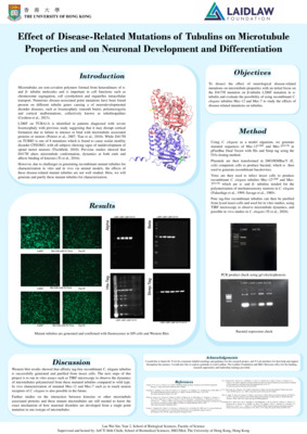 Research Poster: Effect of Disease-Related Mutations of Tubulins on Microtubule Properties and on Neuronal Development and Differentiation