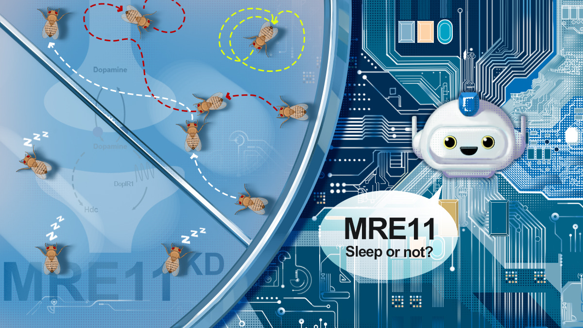 ChatGPT helps decode sleep