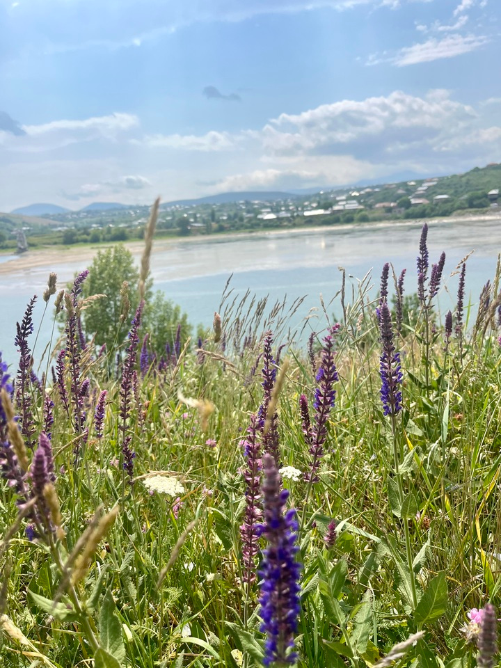 LIA Week 3 🌞🪻🕯️