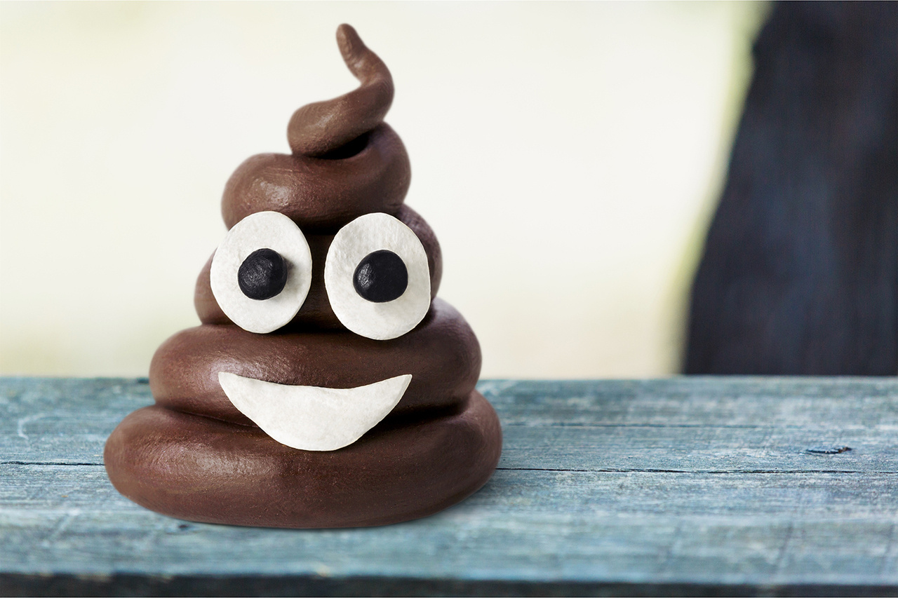 "We need to harness the power of poop" 