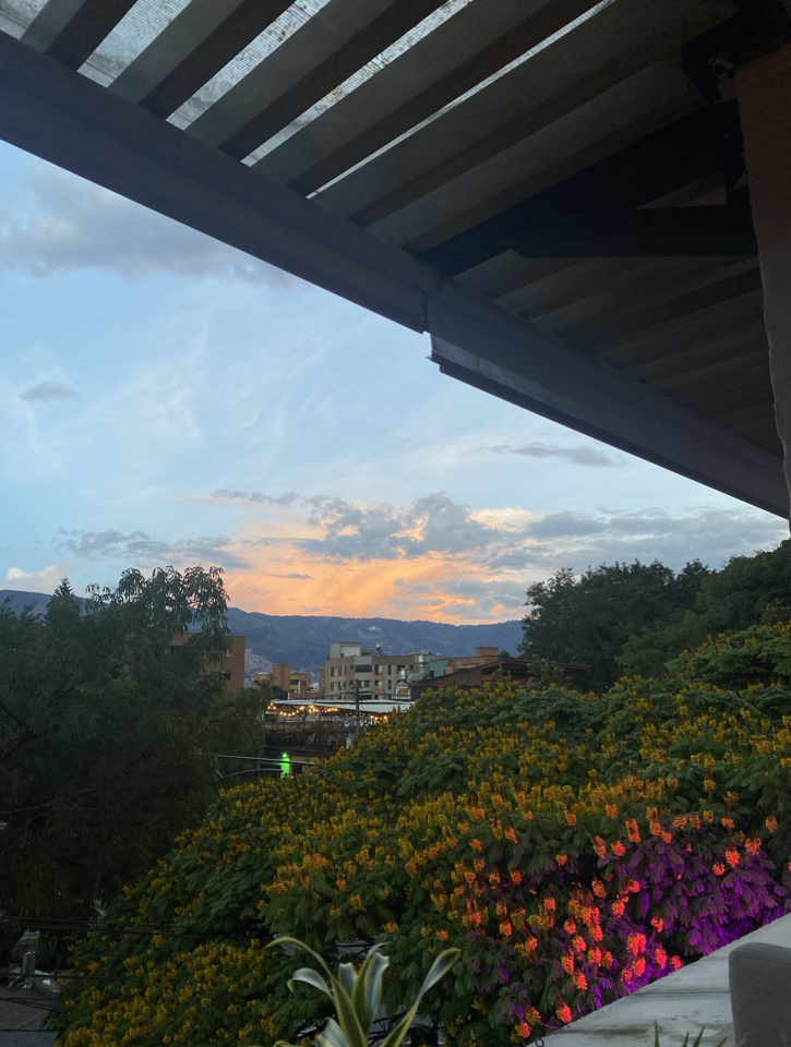 Week 3: make_sense Leadership-in-Action: Medellín, Colombia 