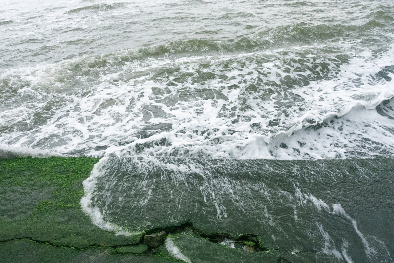 From Craft to Policy