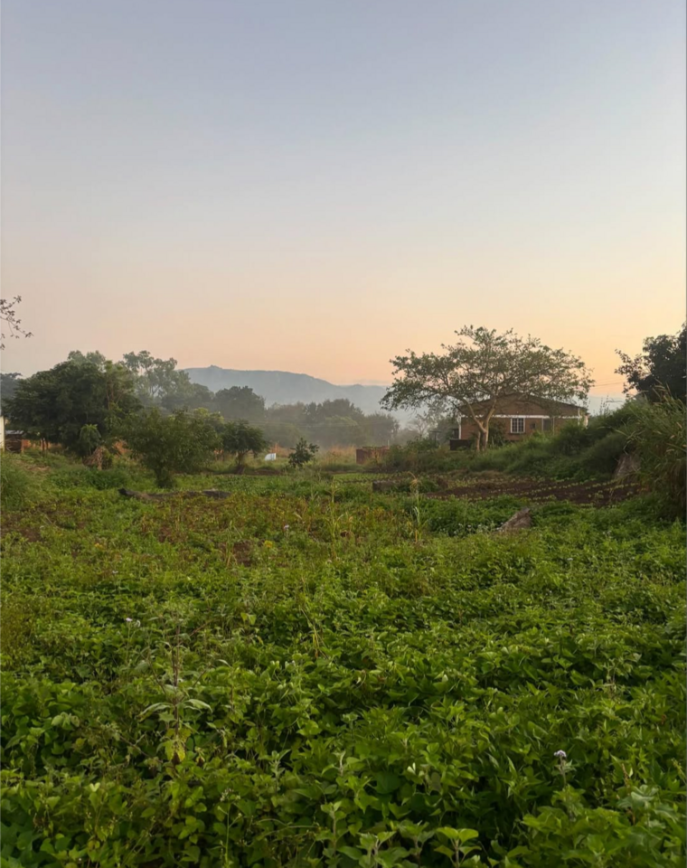 Tiwonana Malawi (See you later)