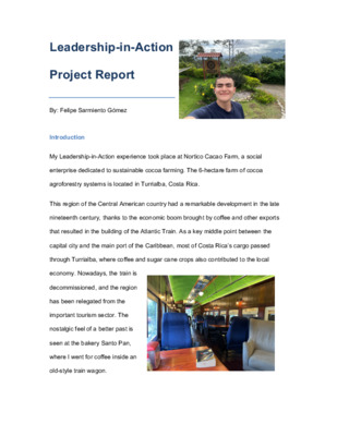 Leadership in Action Report